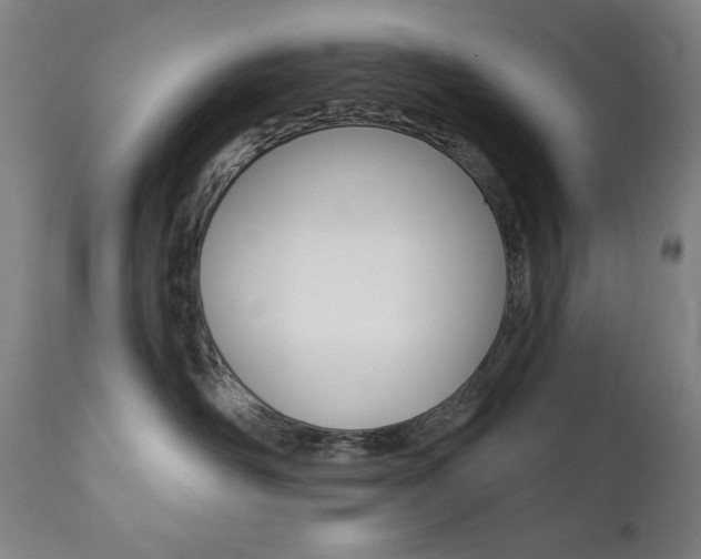 X0000111820526200907231027