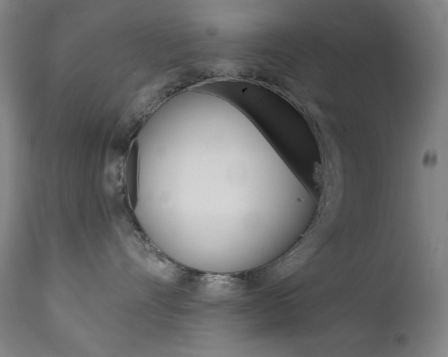 X0000111820528200907231027