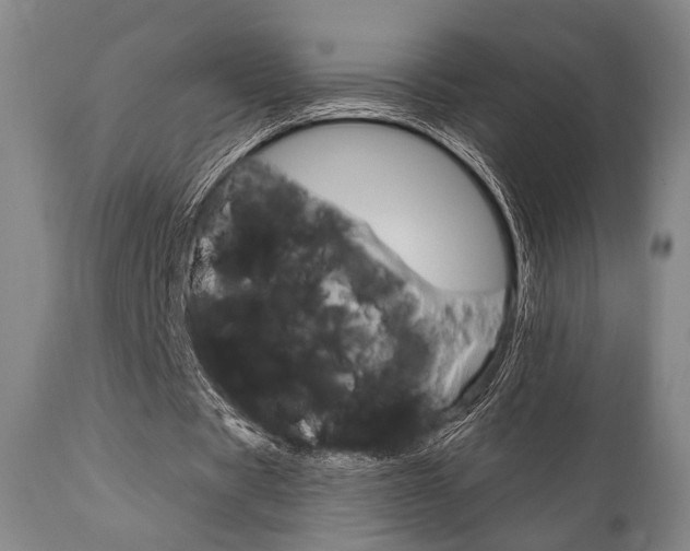 X0000111820529200907231026