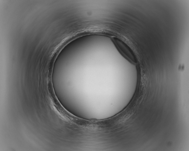 X0000111820530200907231026