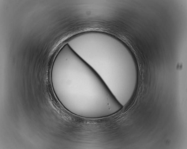 X0000111820531200907231026