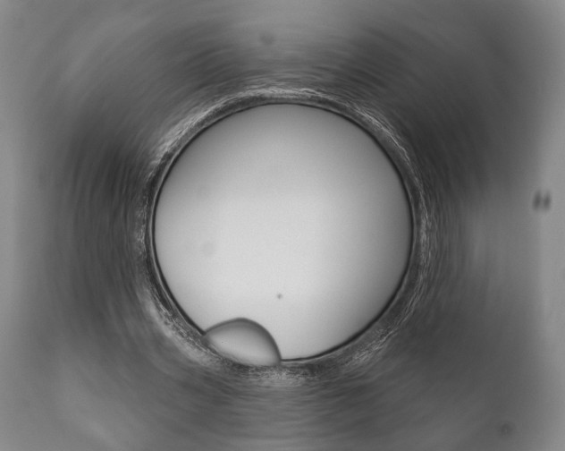 X0000111820533200907231027
