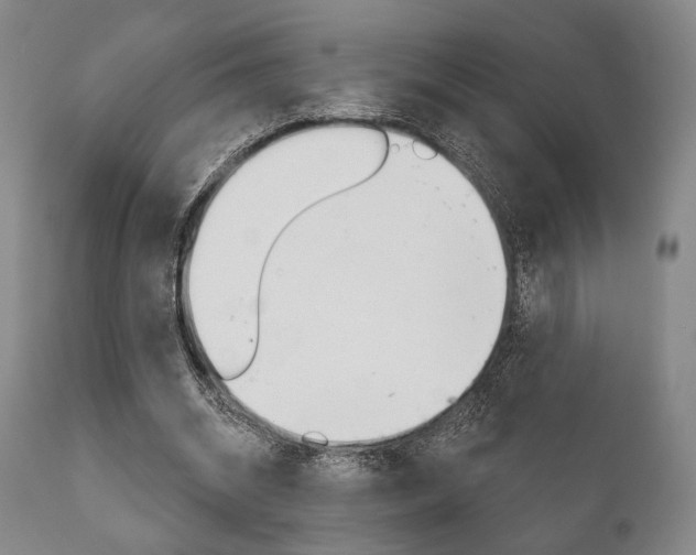 X0000111820534200907231027
