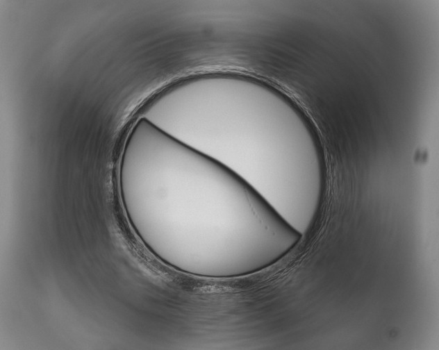 X0000111820535200907231027