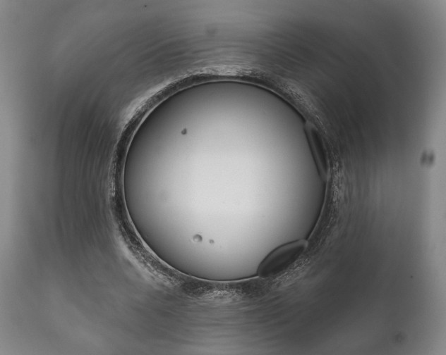 X0000111820536200907231027