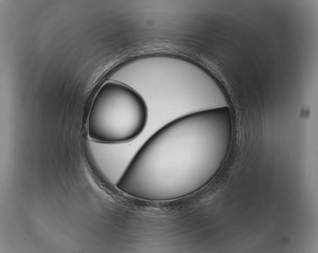 X0000111820538200907231027