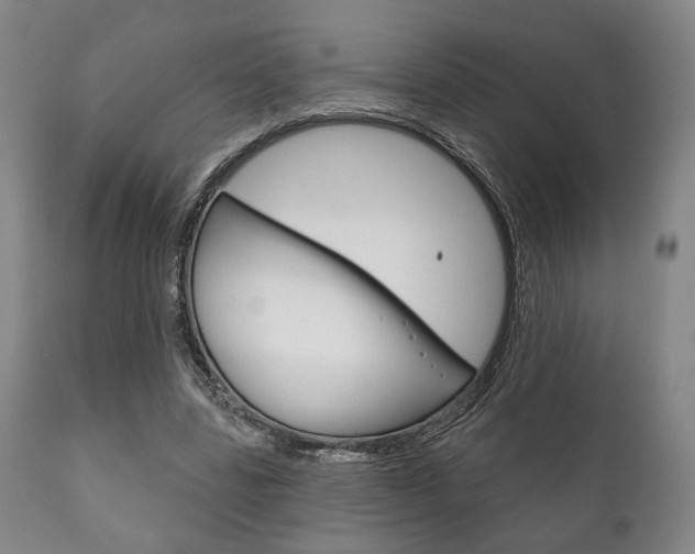X0000111820539200907231027