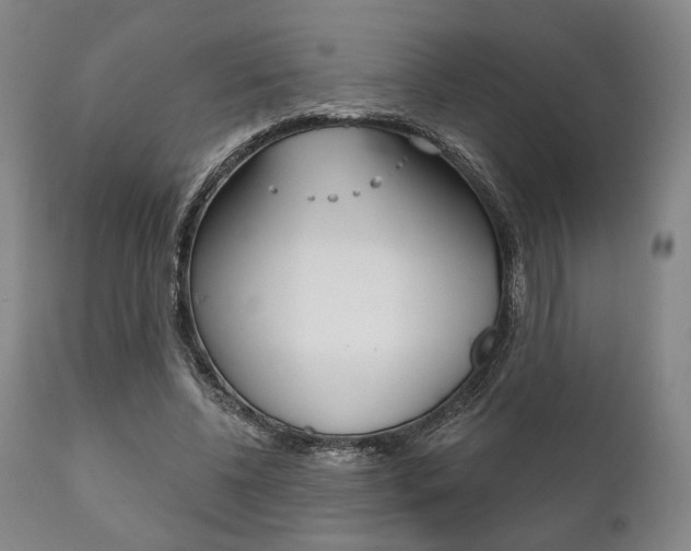 X0000111820540200907231027