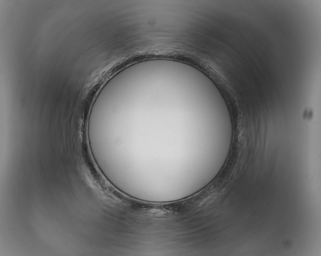 X0000111820542200907231027
