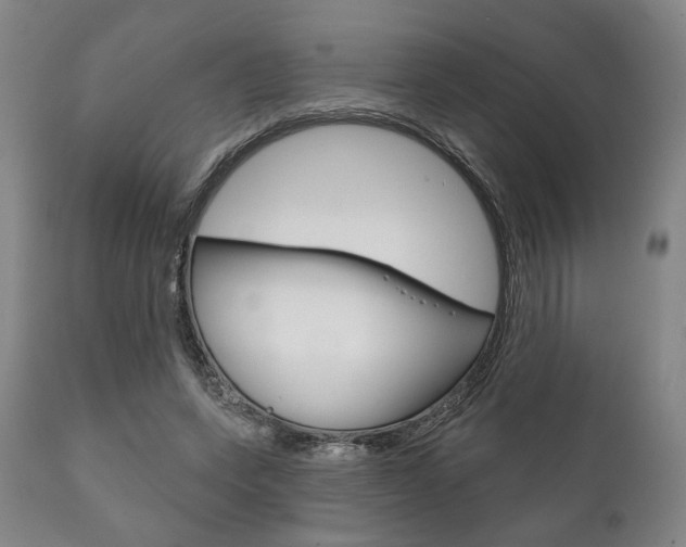 X0000111820543200907231027