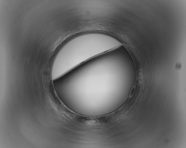 X0000111820544200907231027