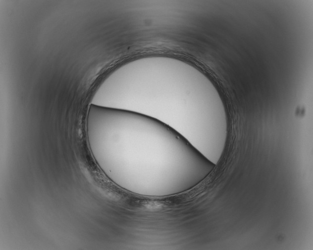 X0000111820547200907231027