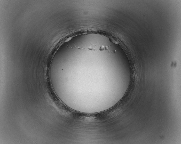 X0000111820548200907231027