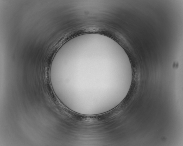 X0000111820549200907231027