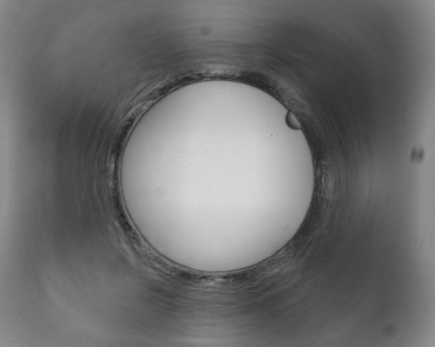 X0000111820550200907231027