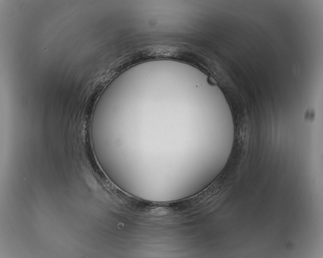 X0000111820551200907231027