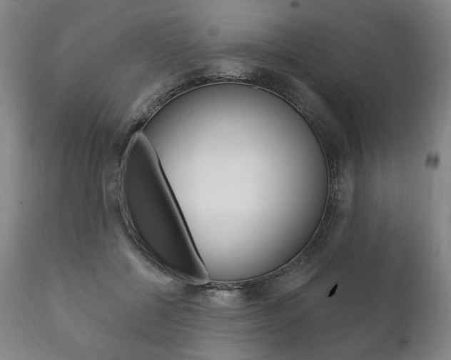 X0000111820552200907231027