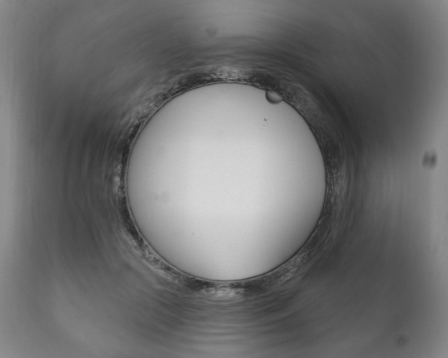 X0000111820553200907231027