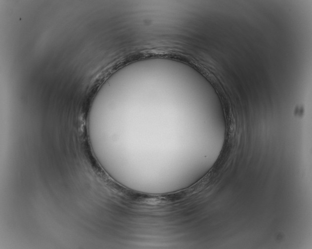 X0000111820555200907231027
