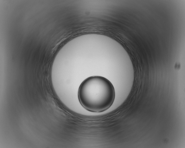 X0000111820556200907231027