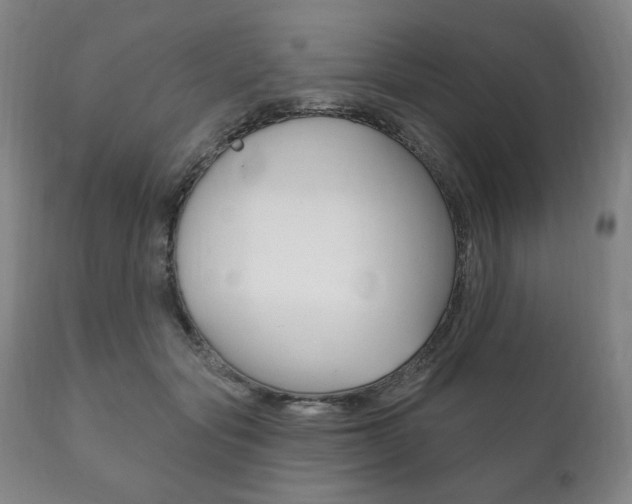 X0000111820557200907231027