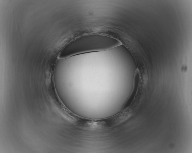 X0000111820558200907231027