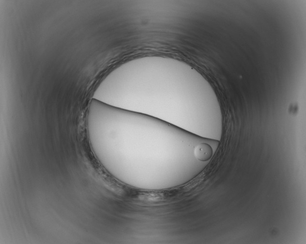 X0000111820559200907231027