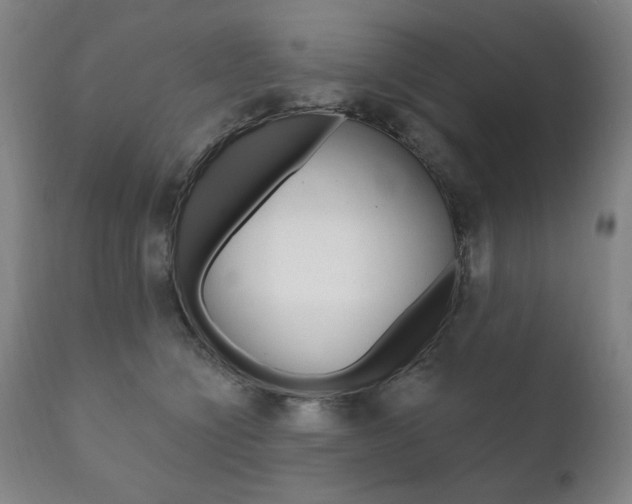 X0000111820564200907231027