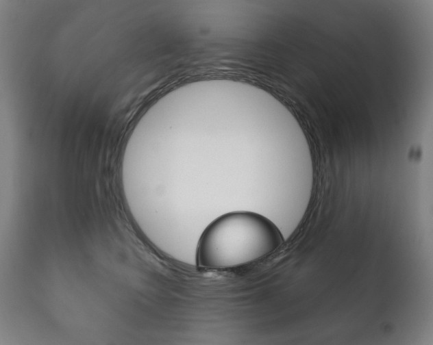 X0000111820566200907231027
