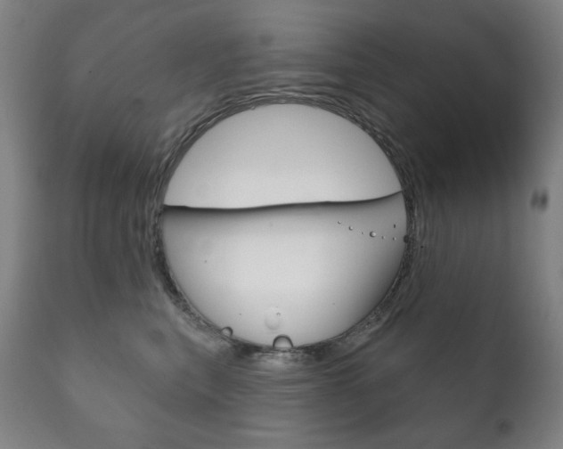 X0000111820567200907231027
