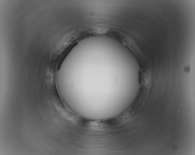 X0000111820568200907231027