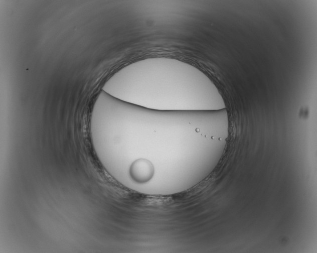 X0000111820571200907231027