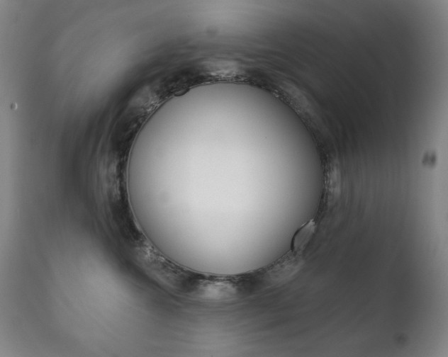 X0000111820572200907231027