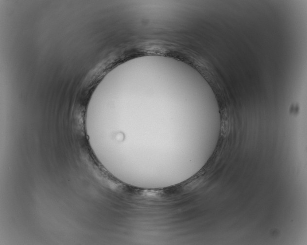 X0000111820573200907231027