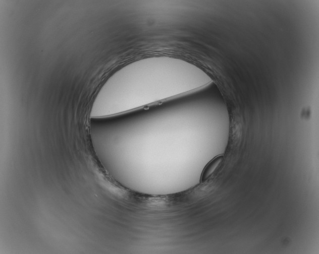 X0000111820574200907231027