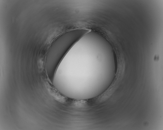 X0000111820576200907231027