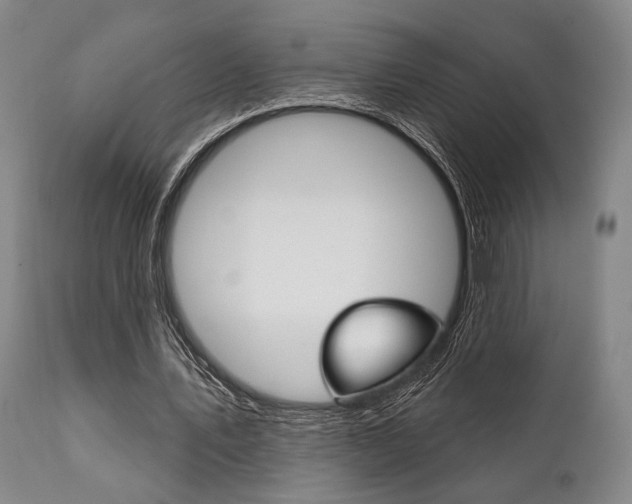 X0000111820579200907231026