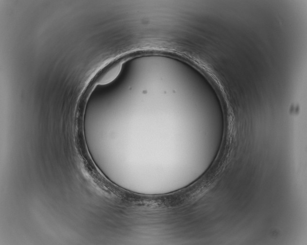 X0000111820580200907231026