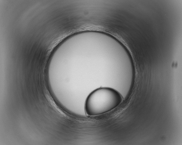 X0000111820581200907231026