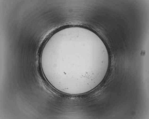 X0000111820584200907231026