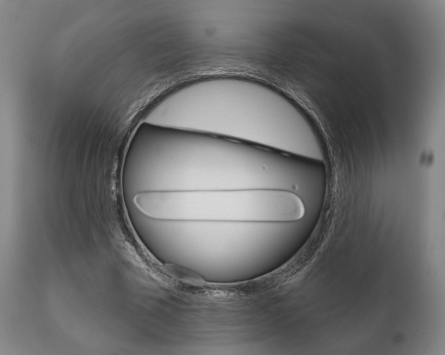 X0000111820585200907231026
