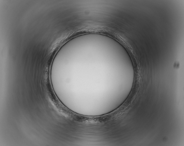 X0000111820586200907231026