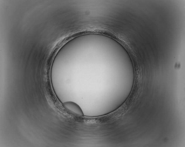 X0000111820587200907231026