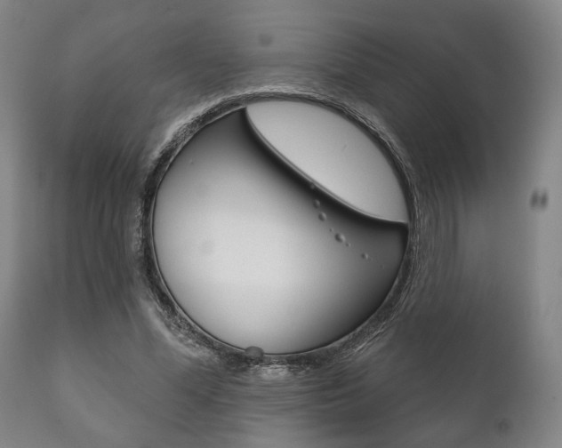 X0000111820588200907231026