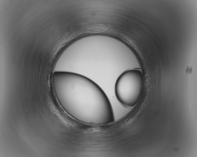 X0000111820589200907231026