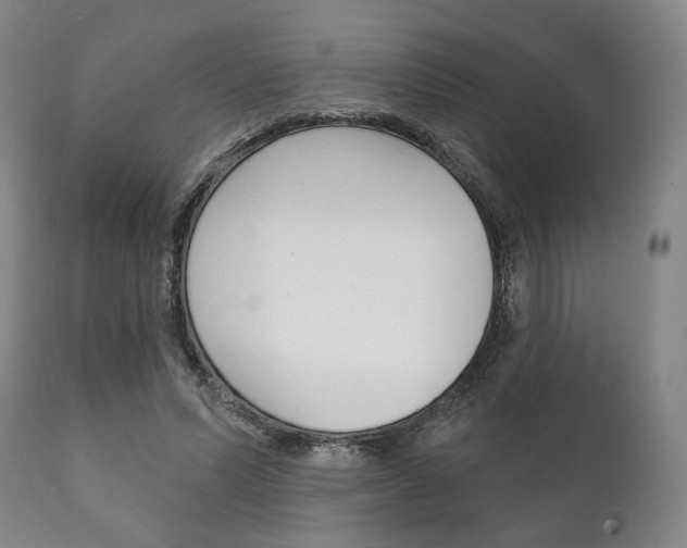 X0000111820591200907231026