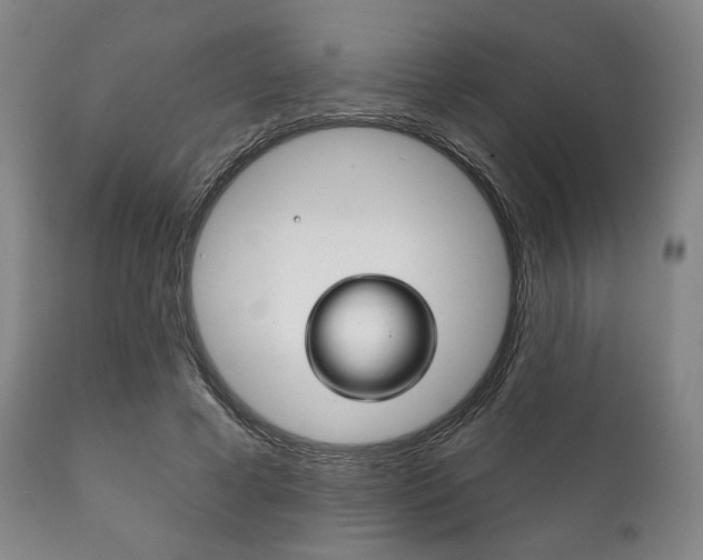 X0000111820593200907231026