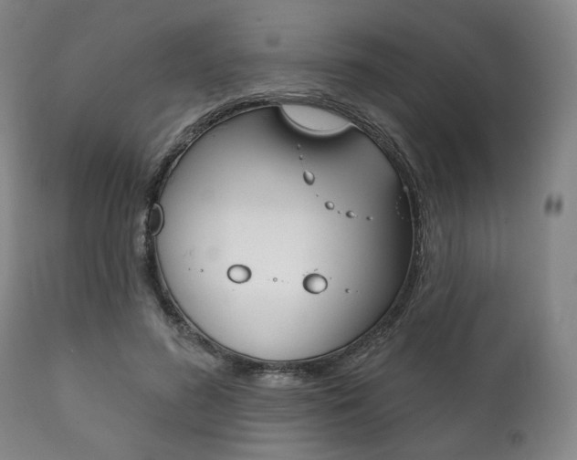 X0000111820596200907231026