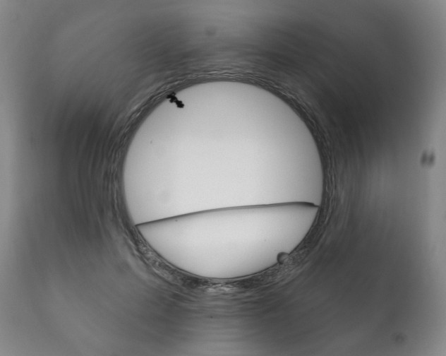 X0000111820599200907231026