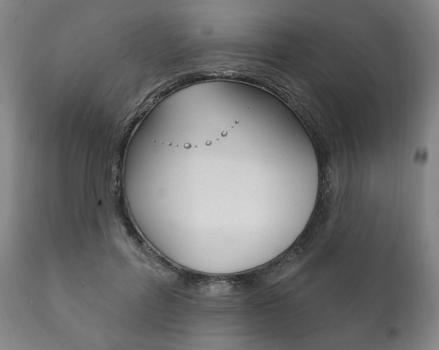 X0000111820600200907231026